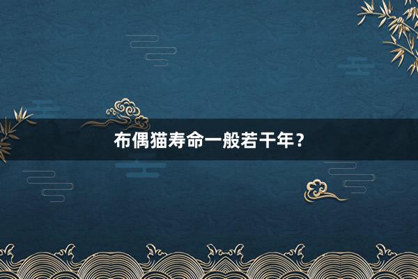 布偶猫寿命一般若干年？