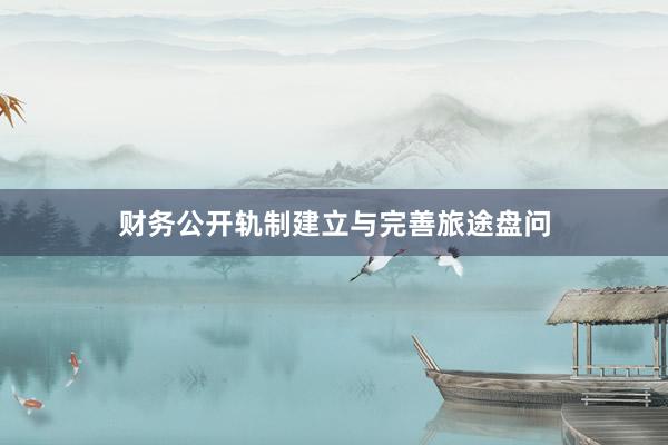 财务公开轨制建立与完善旅途盘问